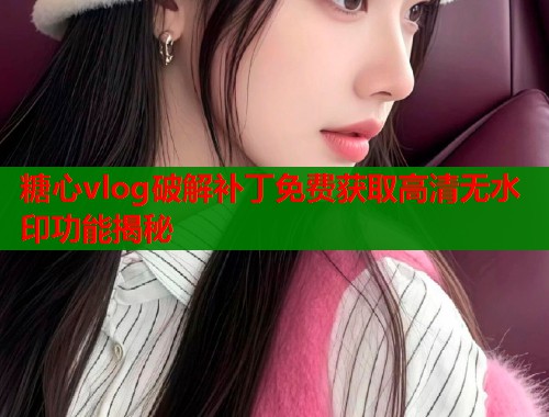 糖心vlog破解补丁免费获取高清无水印功能揭秘 糖心vlog破解补丁免费获取高清无水印功能揭秘
